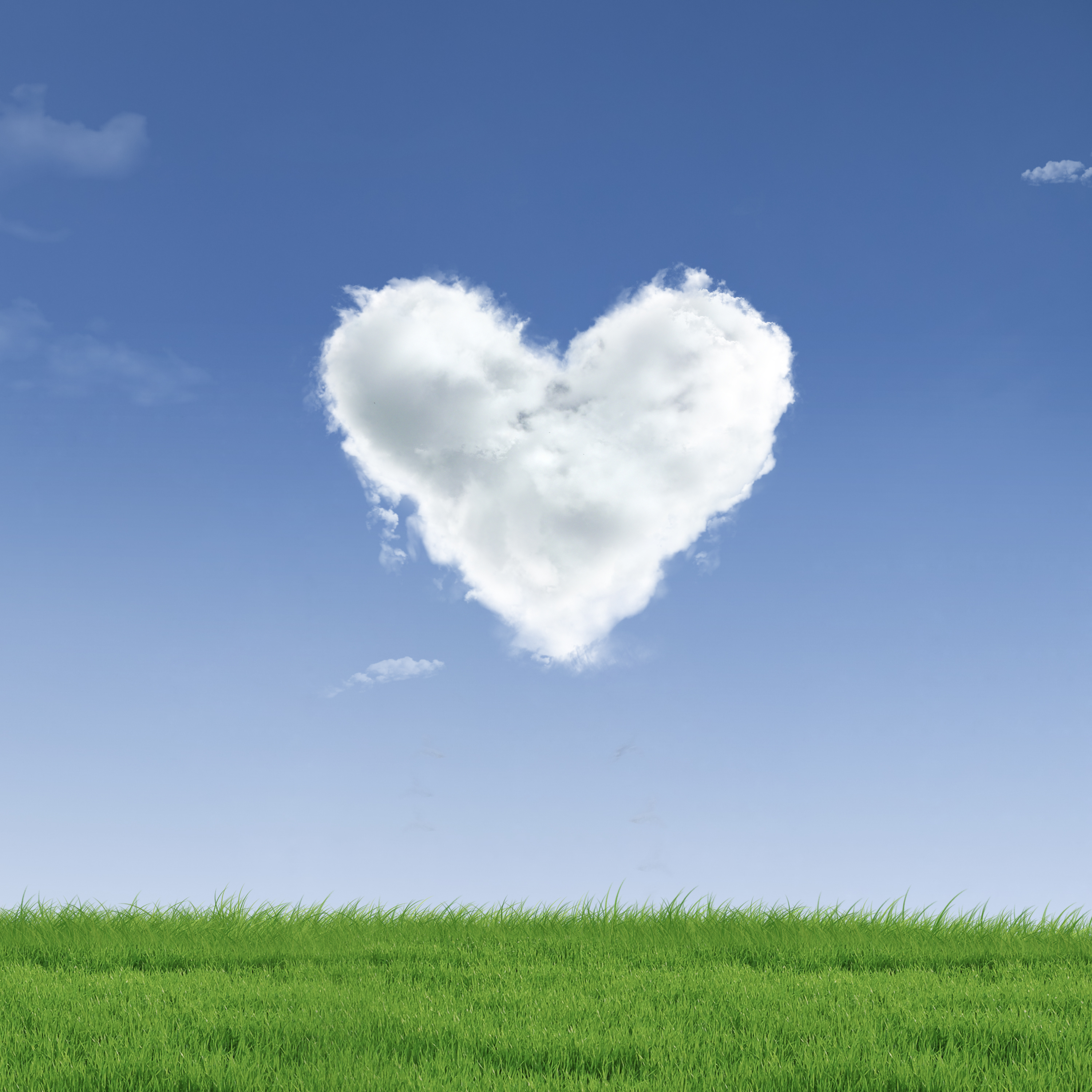 Picture of a a heart cloud on blue sky  and green field