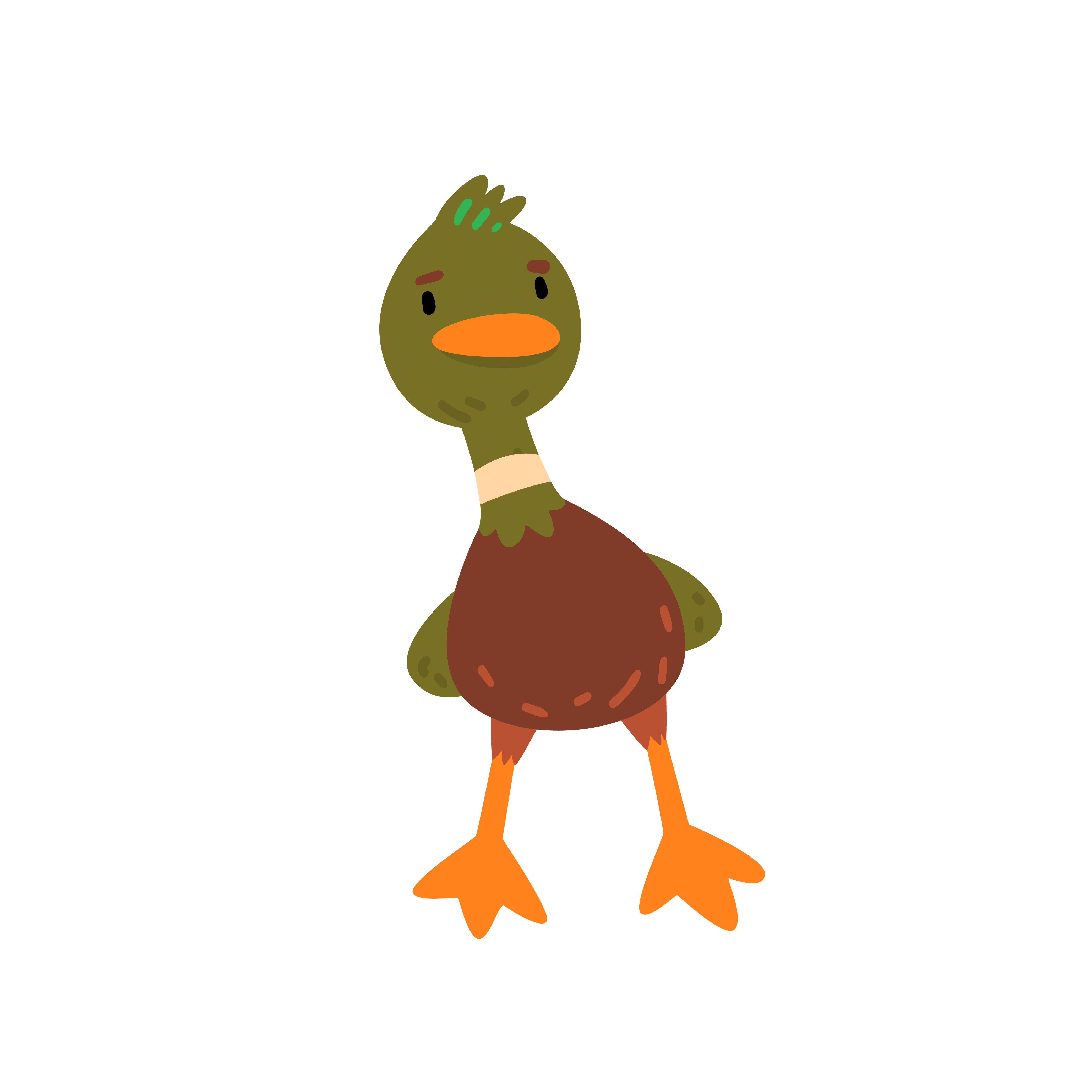 Male Mallard Duck, Cute Funny Duckling Cartoon Character Front View Vector Illustration on White Background.